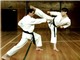 Nguồn gốc môn võ karate